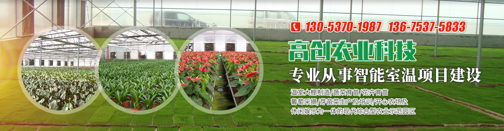 <strong>濟寧藝水芳源生態(tài)水族設(shè)備有限公司</strong>